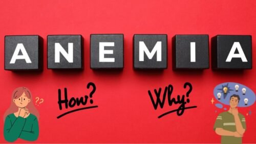 Quels sont les différents types d'anémie?